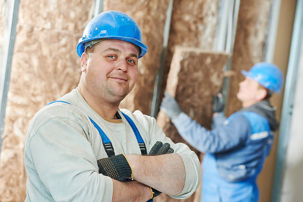 Best Cellulose Insulation  in Bensley, VA