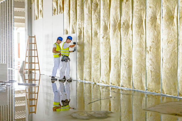 Best Insulation Replacement Services  in Bensley, VA